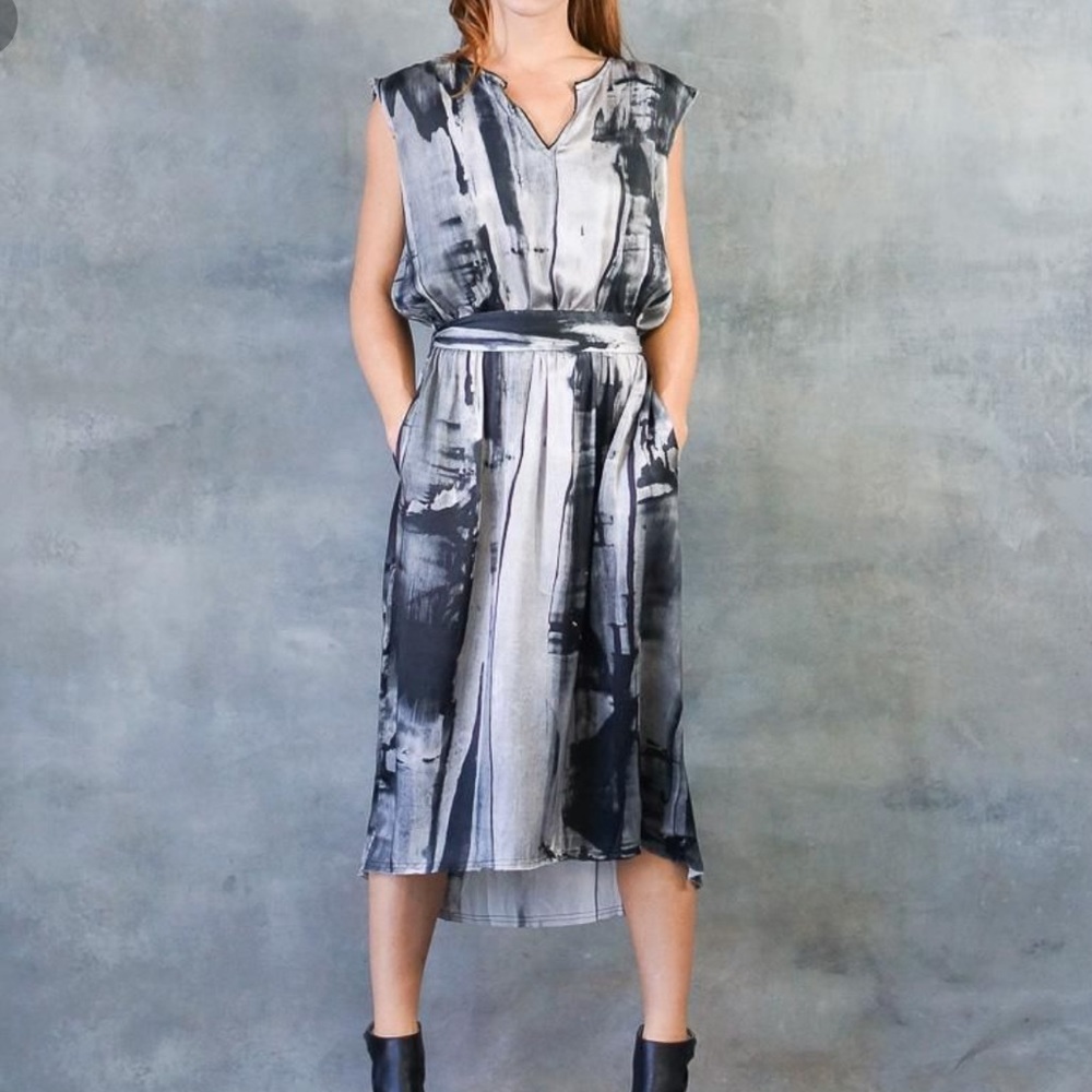 Go by Go Silk Grecian print dress
